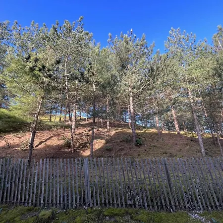 Saint-hilaire-de-riez, 2 Pièces, 5 Personnes - Fr-1-224c-192