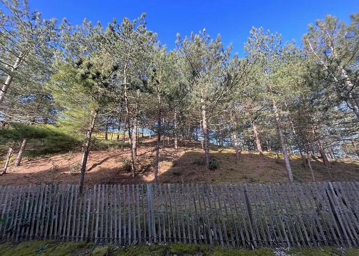 Renove 2 Pieces, Terrasse, Parking Prive, Proche Et Commerces - Fr-1-224c-192